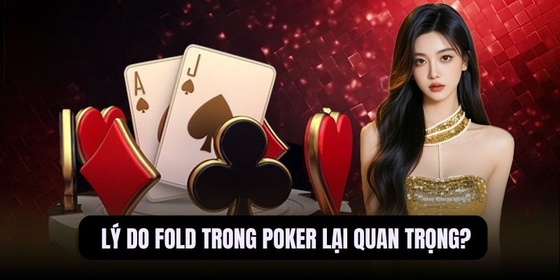 fold trong poker là gì